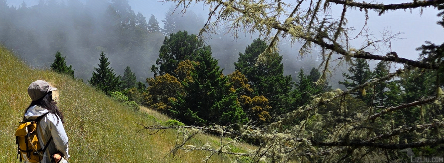 Liz on a recent hike in Northern California. Look at those mists!