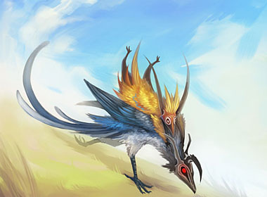 Personal Work