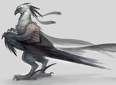 Harpy Eagle